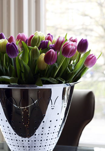 15devonshire terrace tulips.jpg